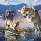 Imagen para el artículo titulado Un minero canadiense encuentra un cachorro de lobo de 57.000 años todavía cubierto de piel